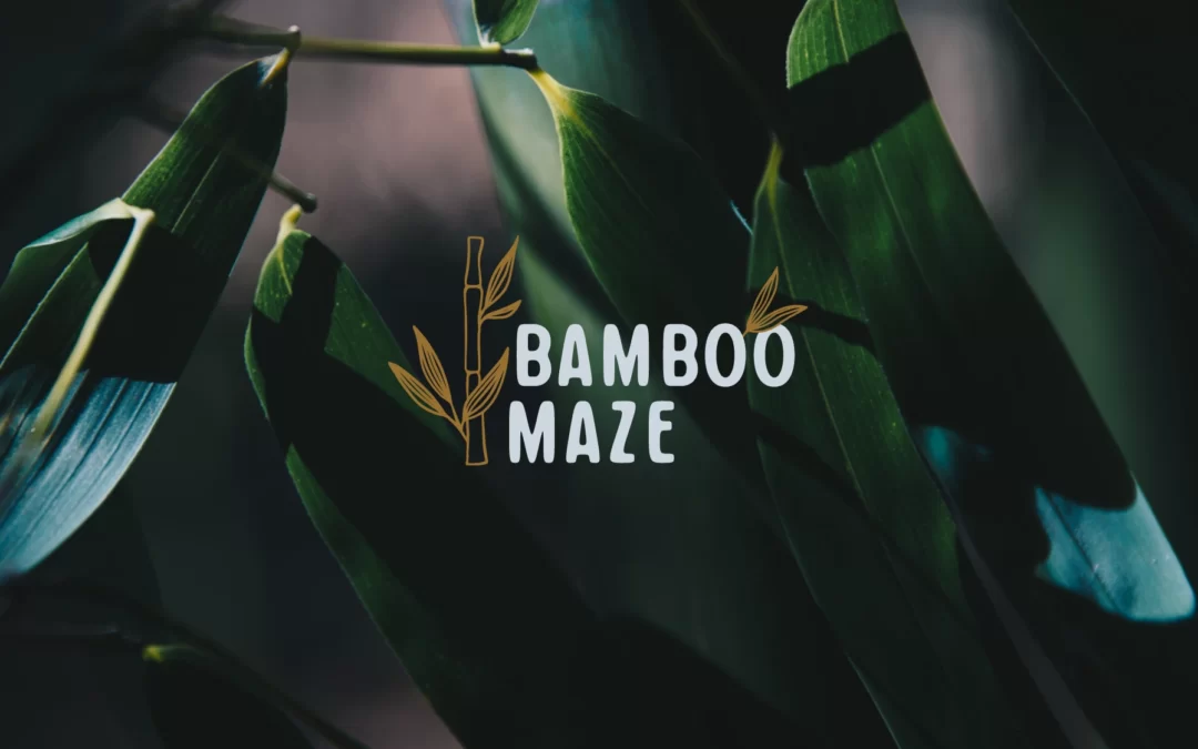 Bamboo maze logo